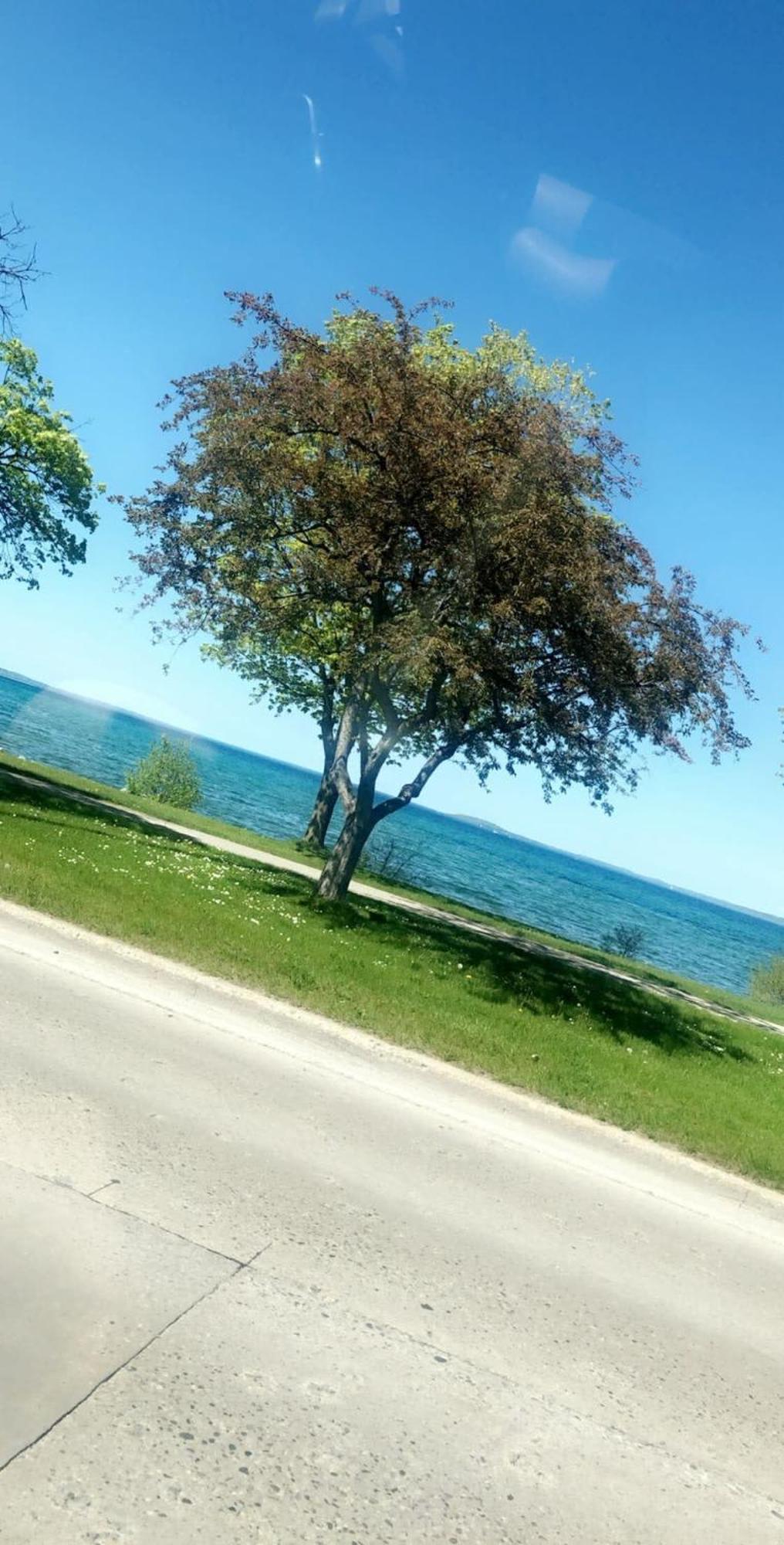 Downtown Traverse City Condo - Capri 209 Екстериор снимка